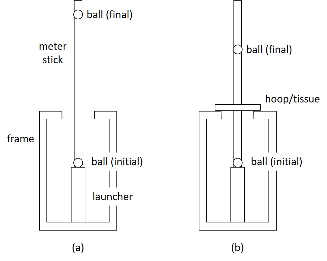 Two photographs side by side showing the tissue toughness apparatus: (a) the launcher with no tissue attached, and (b) the launcher with a tissue secured in a plastic hoop above the barrel.