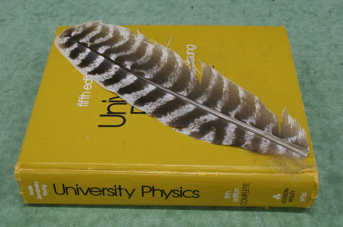 Yellow University Physics textbook with a large brown-and-white barred feather resting on top