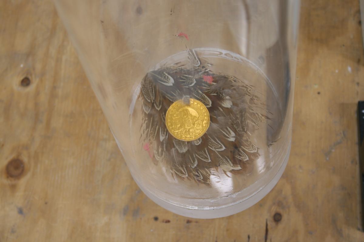 View looking down into the cylinder showing a gold plastic coin resting on a clump of dark feathers, with confetti pieces mixed in