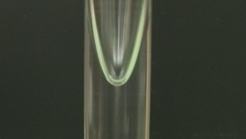 Tall cylindrical glass vessel containing water, photographed against a dark background, showing a concave parabolic surface at the top of the water column