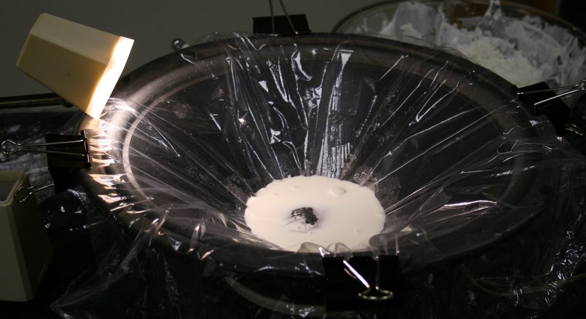Same speaker setup with the cornstarch mixture at rest, pooled as a flat white disc in the center of the clear plastic-covered cone; a Pyrex bowl with extra cornstarch visible in the background