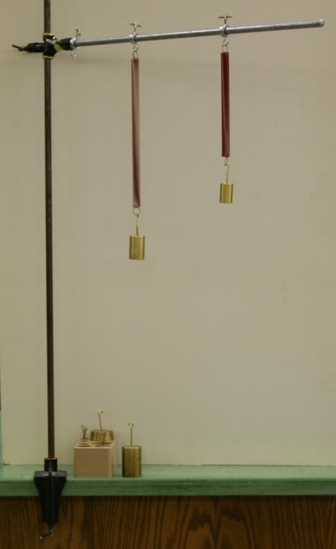 Bench clamp stand with horizontal rod supporting two flat spring strips hanging from hooks, each with a brass cylindrical mass attached. Additional masses sit on the green bench surface.