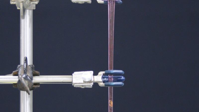 Glass bulb air thermometer mounted vertically on ring stand with two finger clamps, stem extending into a glass of pink-tinted water