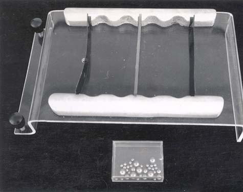 Clear plastic tray with corrugated white plastic walls at each end and a central partition with three holes. A small clear box in the foreground holds steel balls of two different sizes.