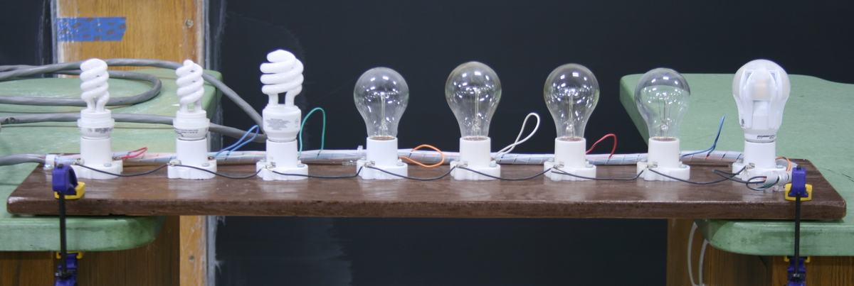 Close-up of eight bulbs on wooden board: two compact fluorescent bulbs on left, five clear incandescent bulbs in center, and one white globe bulb on right, each with individual wiring