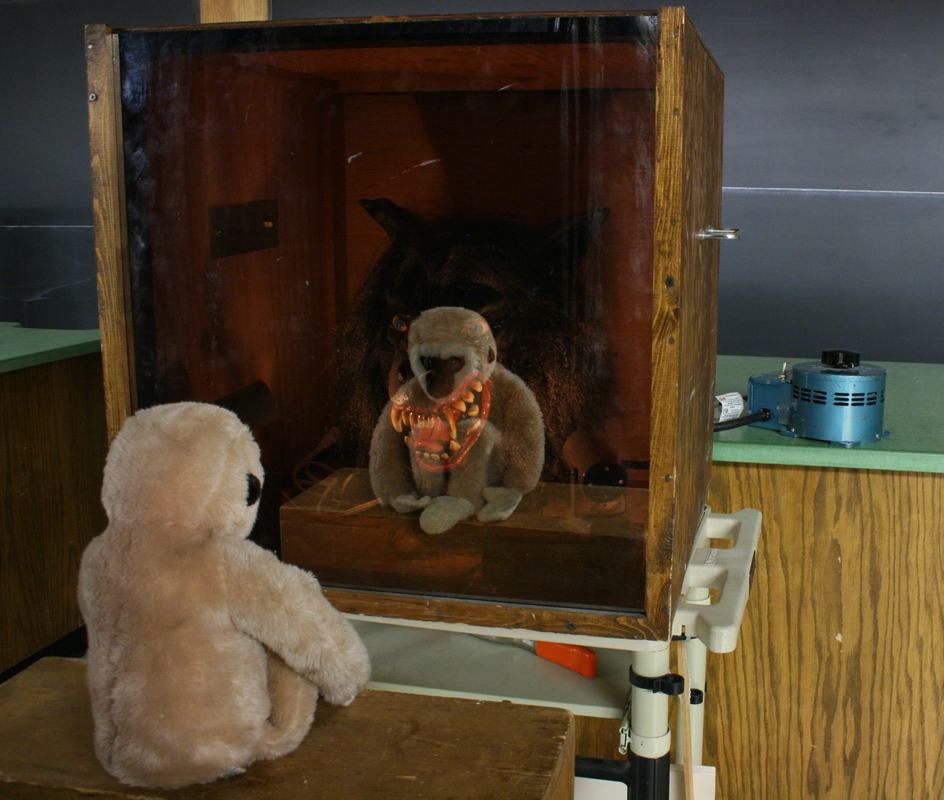 Same box at intermediate lighting; both the teddy bear's reflection and the werewolf mask behind the mirror are visible, superimposed