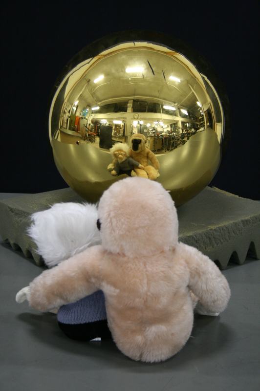 Gold mirrored sphere on a gray surface with a stuffed animal placed beside it; the sphere's reflection shows the room and objects distorted by the convex curvature