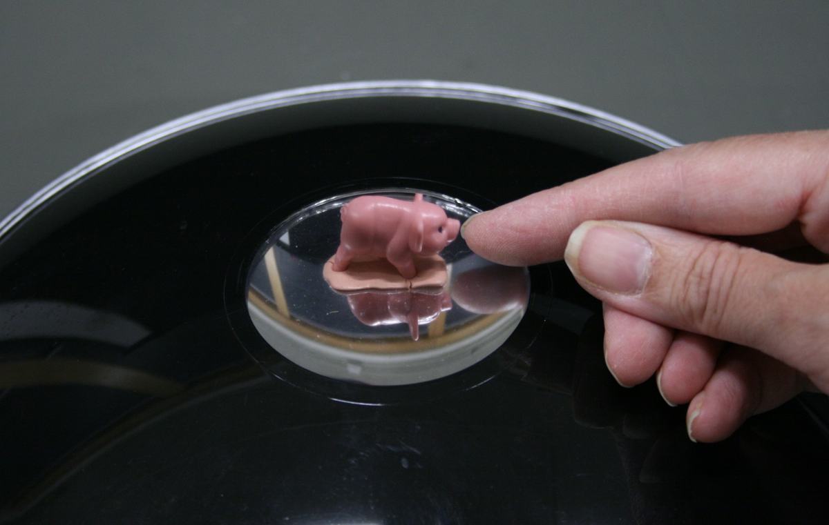 Real image of a pink toy pig appearing to float above the aperture of the double concave mirror apparatus, with a hand pointing toward it