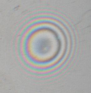 Close-up of Newton's rings interference pattern showing multiple concentric colored fringes with rainbow bands radiating from a central region