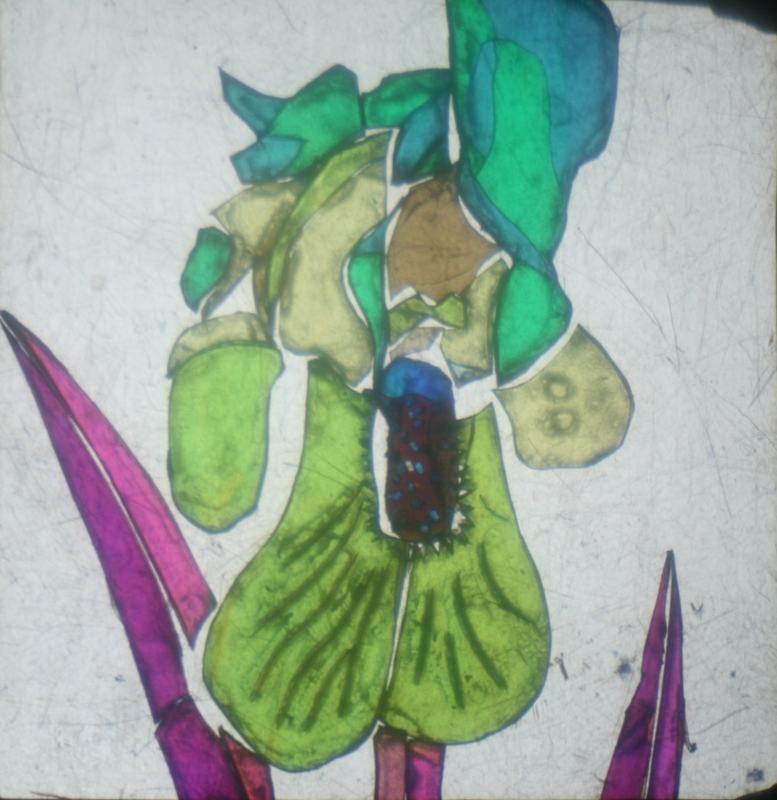 Same iris image viewed without crossed polarizers, showing green and yellow tones with visible tape strip construction and scratched surface
