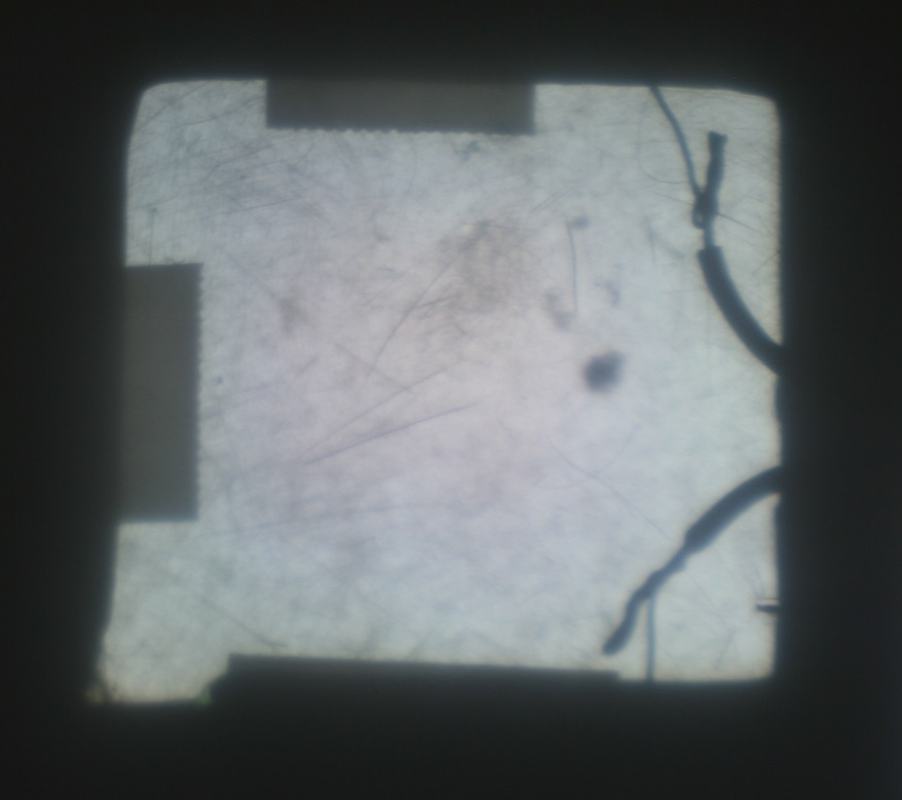 Projected image of LC pixel in the clear/bright state (no voltage), showing a bright square with wire shadows visible