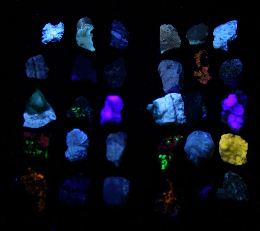 Collection of about 30 mineral samples under long-wave UV light, fluorescing in blue, green, orange, purple, pink, and yellow against a black background
