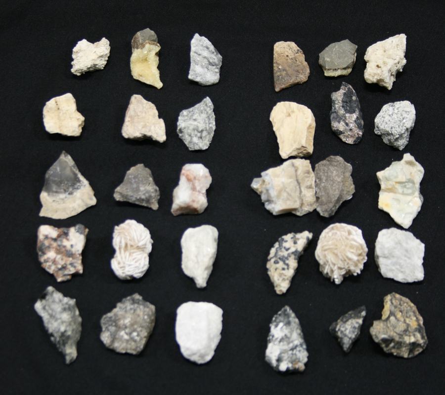 Same mineral collection under white light, appearing as ordinary gray, white, tan, and brown rocks