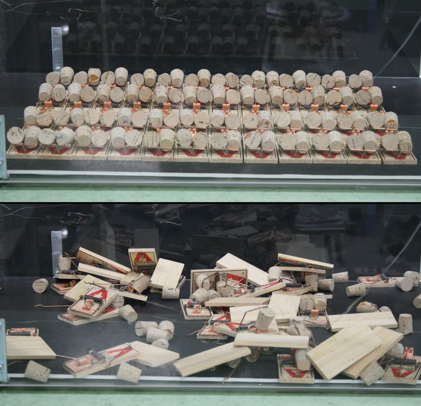 Two display cases showing wooden mousetraps with cork cylinders: top case shows orderly array of approximately 100 set traps, bottom case shows chaotic aftermath with triggered traps and scattered corks