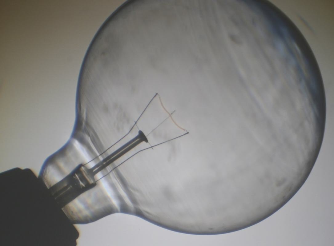 Projected image of a clear incandescent bulb on the overhead projector, with the filament and support wires visible as dark lines against the bright projected background